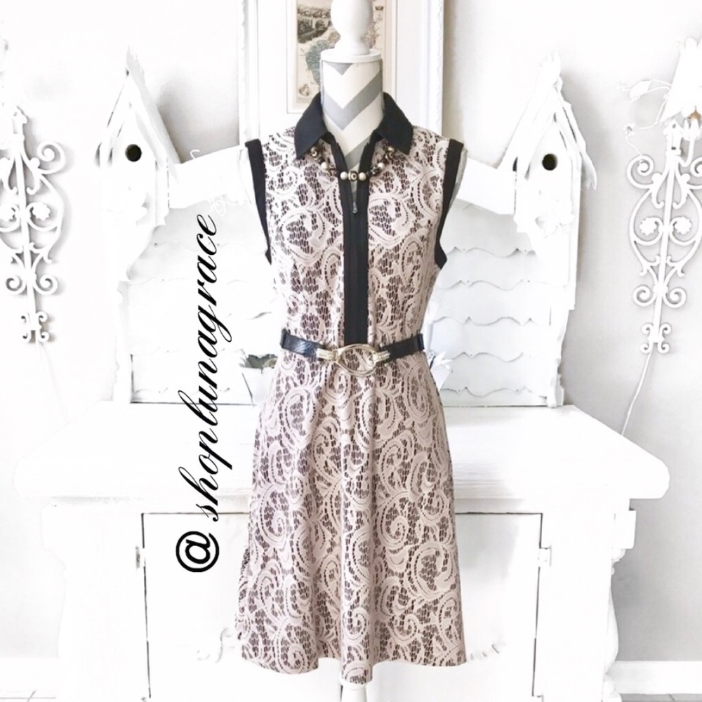 Collared Fit & Flare Lace Dress - Picture 1 of 4
